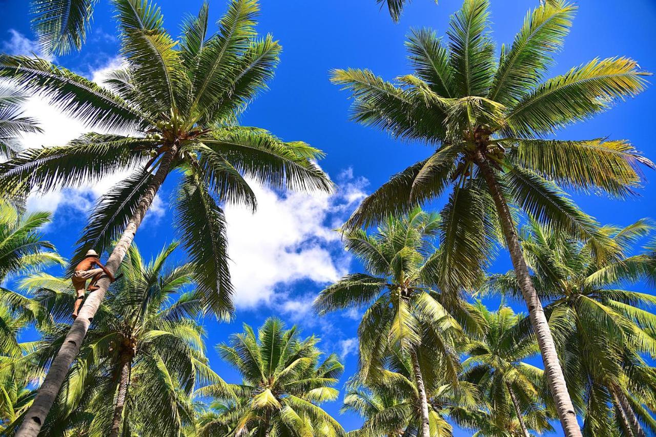 Coconut Garden Beach Resort Маумере Экстерьер фото